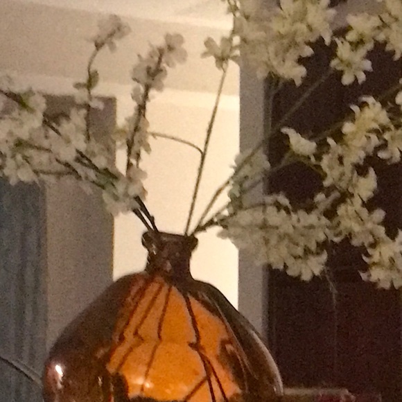 Meet your Posher, Lisa - Picture 1 of 1